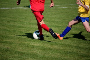 678网校-国家体育场馆运营管理论坛探讨智能化方向,国家体育总局体育场馆运营管理办法 第1张